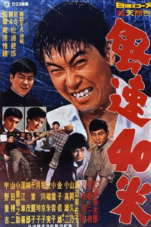 Póster de 風速40米