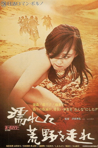 Póster de 濡れた荒野を走れ