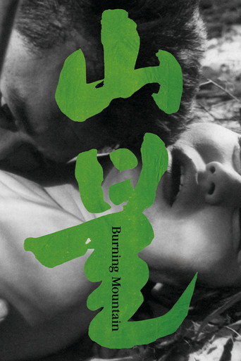 Póster de 山불