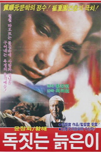 Póster de 독짓는 늙은이