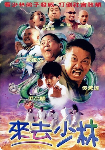 Póster de 来去少林