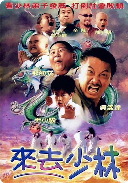 Póster de 来去少林