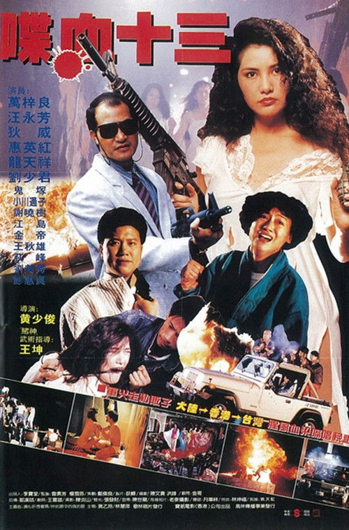 Póster de 風塵十三姨