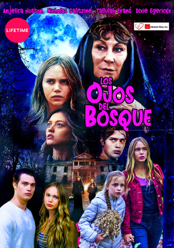 Póster de The Watcher in the Woods