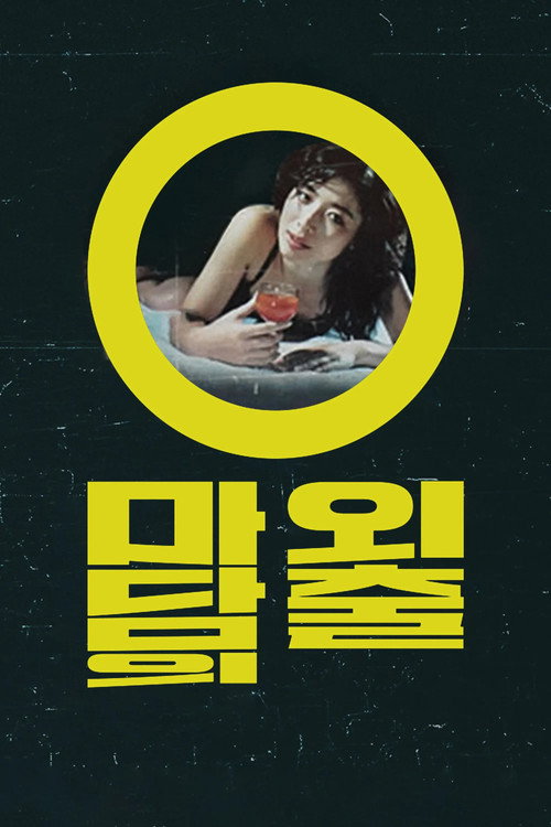 Póster de 오마담의 외출