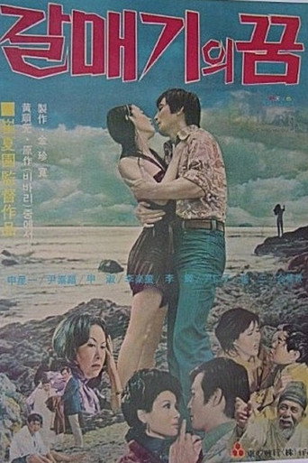 Póster de 갈매기의 꿈