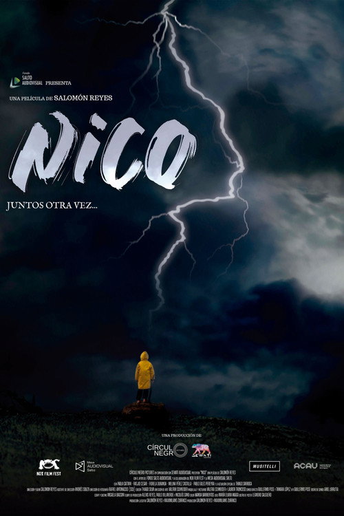 Póster de Nico
