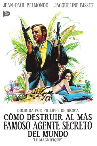 Póster de Le Magnifique