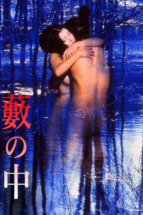 Póster de 藪の中
