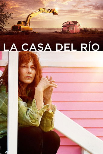 Póster de Little Pink House