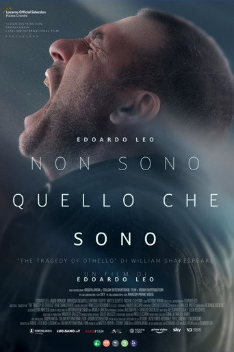 Póster de Non sono quello che sono