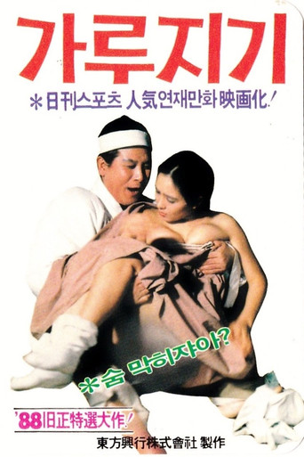 Póster de 가루지기