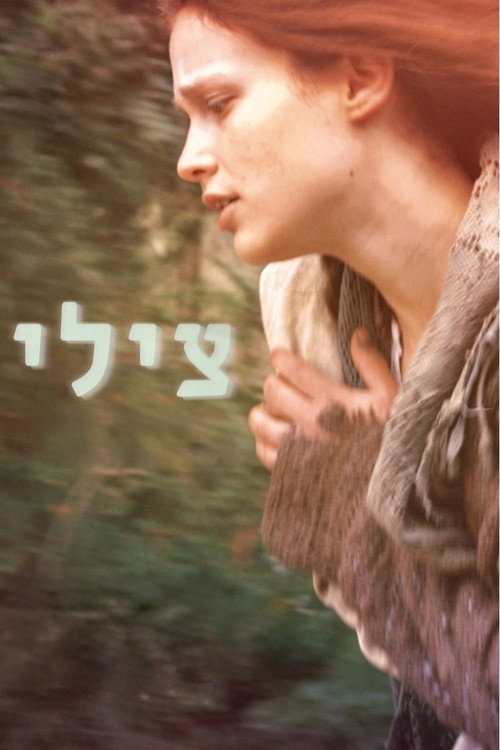 Póster de צילי