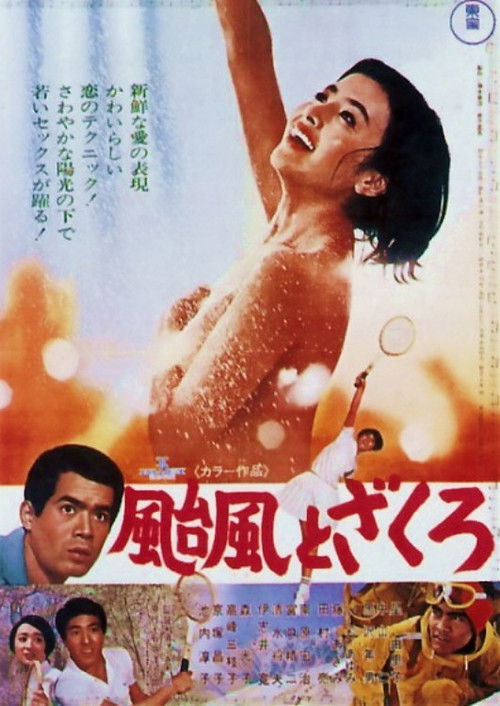 Póster de 颱風とざくろ