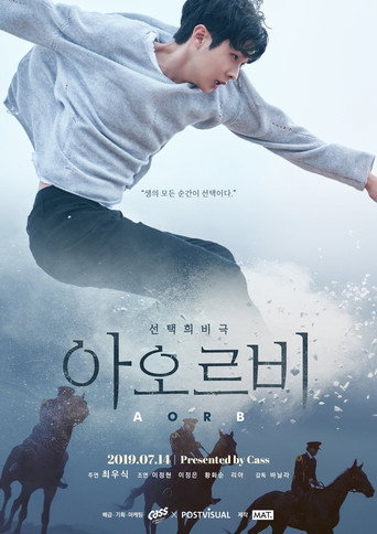 Póster de 아오르비