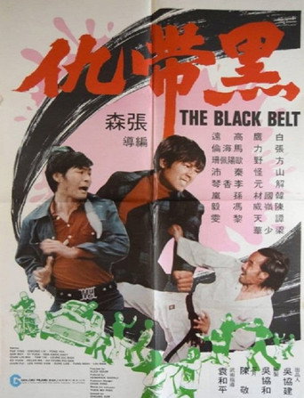 Póster de 黑带仇
