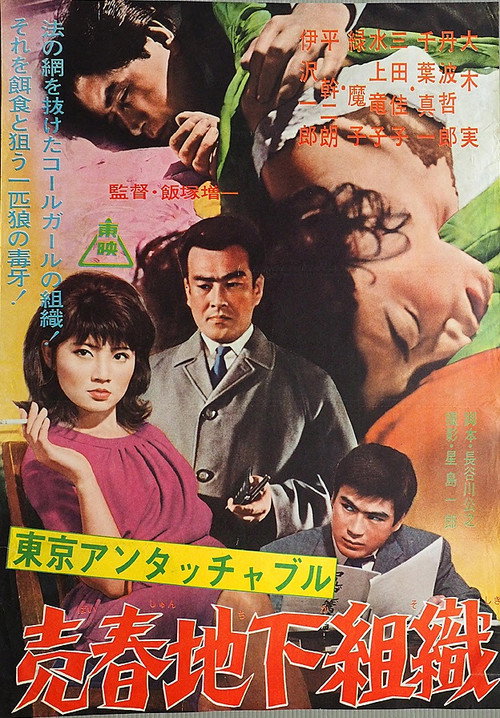 Póster de 売春地下組織