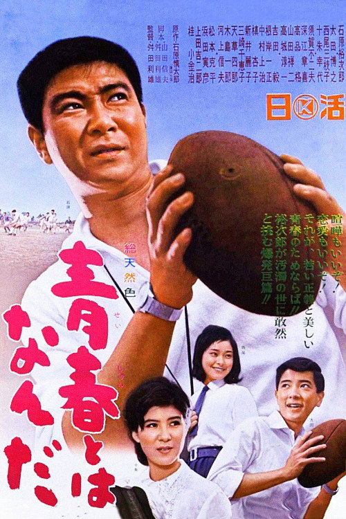 Póster de 青春とはなんだ