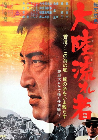Póster de 大陸流れ者