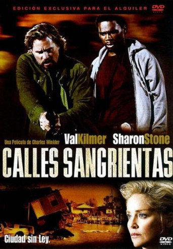Póster de Streets of Blood