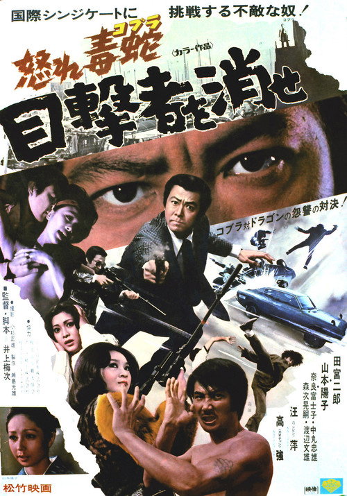 Póster de 怒れ毒蛇 目撃者を消せ