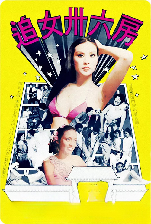 Póster de 追女三十六房