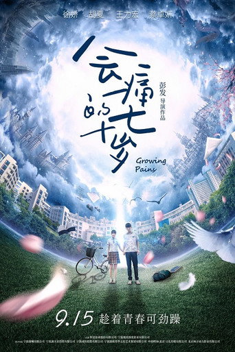 Póster de 会痛的十七岁