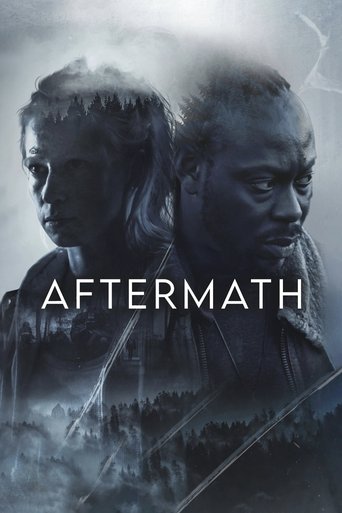 Póster de Aftermath