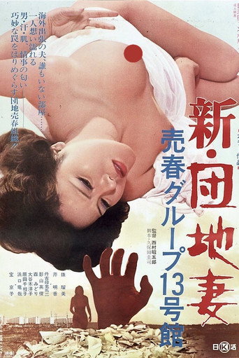 新・団地妻 売春グループ13号館