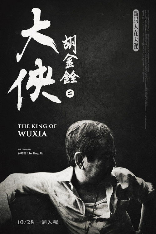 Póster de 大俠胡金銓 第二部曲─斷腸人在天涯