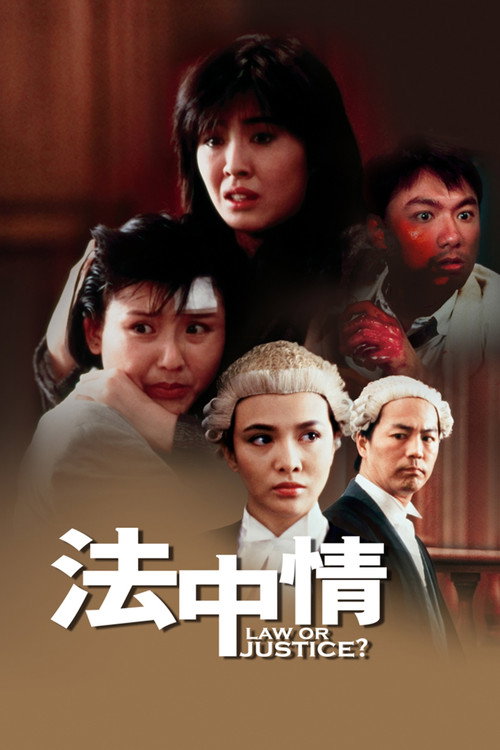Póster de 法中情