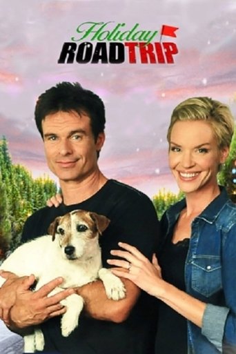 Póster de Holiday Road Trip