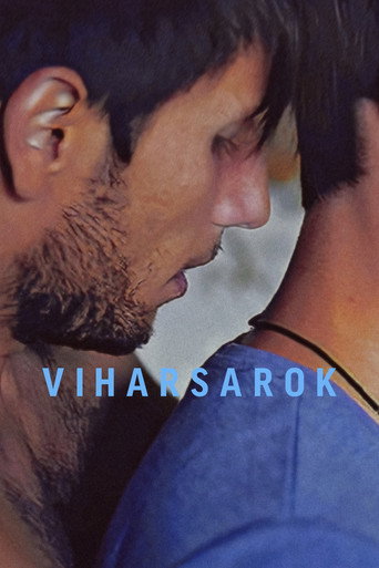 Póster de Viharsarok