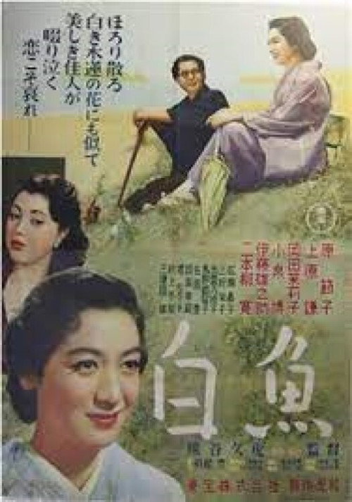 Póster de 白魚