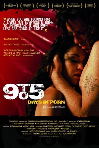 Póster de 9to5: Days in Porn