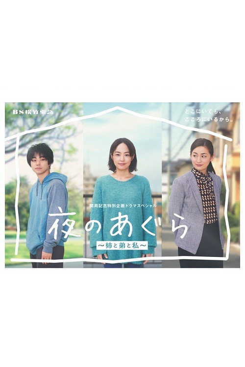 Póster de 夜のあぐら～姉と弟と私～