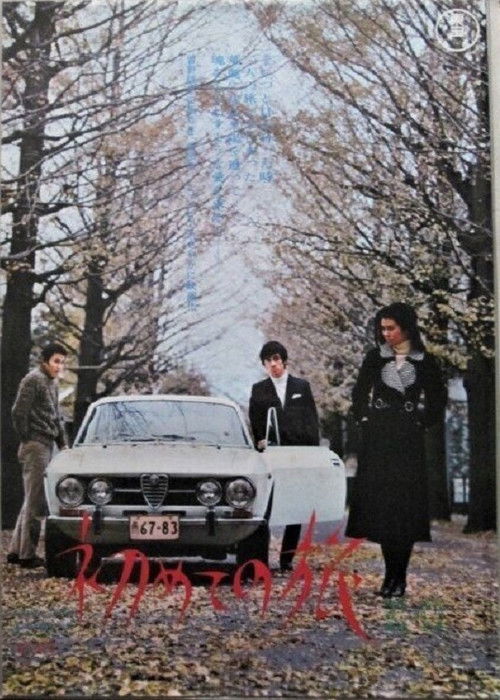 Póster de 初めての旅