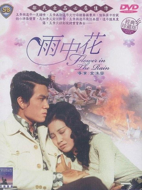 Póster de 雨中花