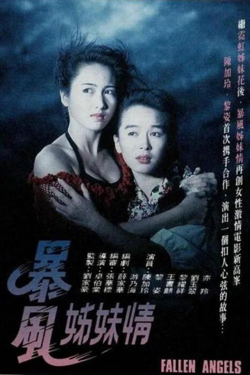 Póster de 暴風姊妹情