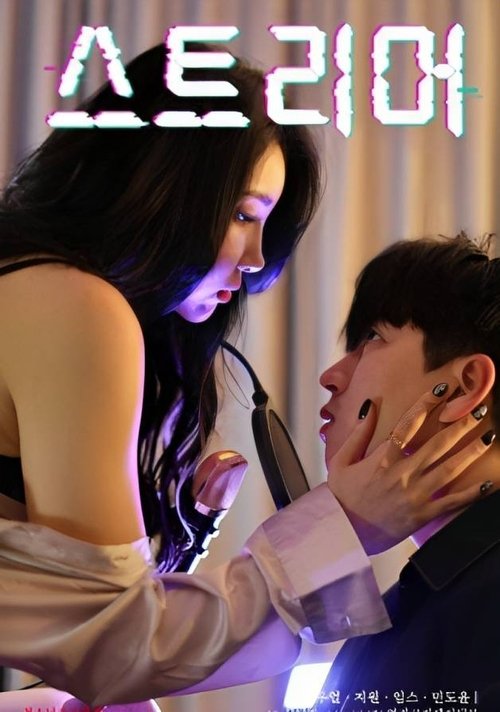 Póster de 스트리머