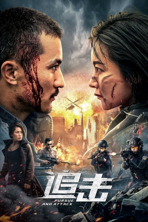 Póster de 追击
