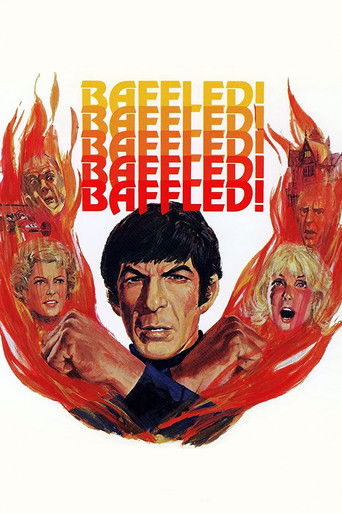 Póster de Baffled!
