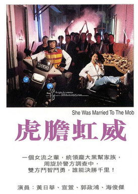 Póster de 虎胆虹威