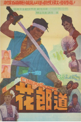 Póster de 화랑도