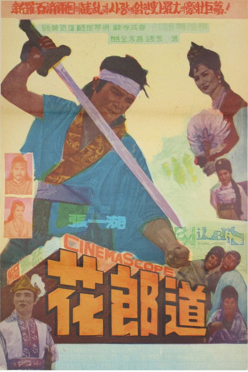 Póster de 화랑도