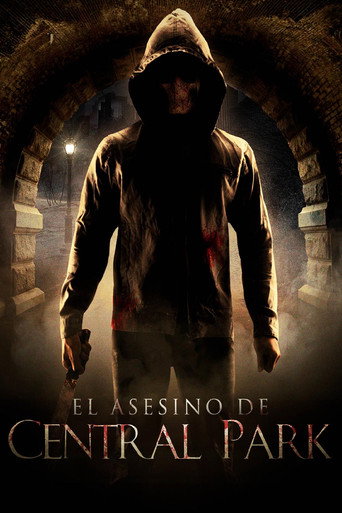 Póster de El Asesino de Central Park
