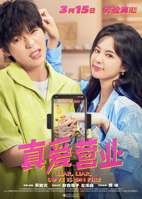 Póster de 真爱营业