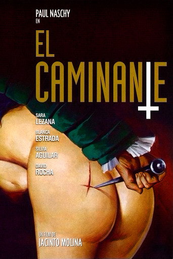 Póster de El caminante