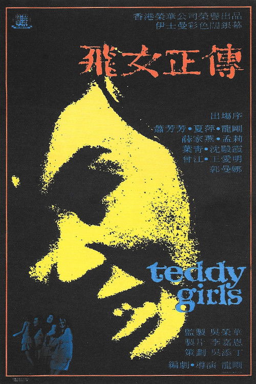 Póster de 飛女正傳