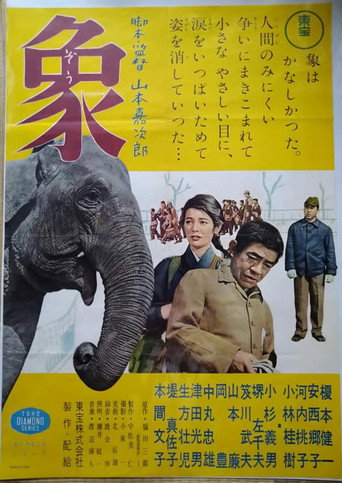 Póster de 「動物園物語」より 象